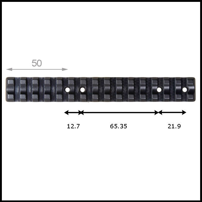 Recknagel Picatinny Rail for Ruger 10/22