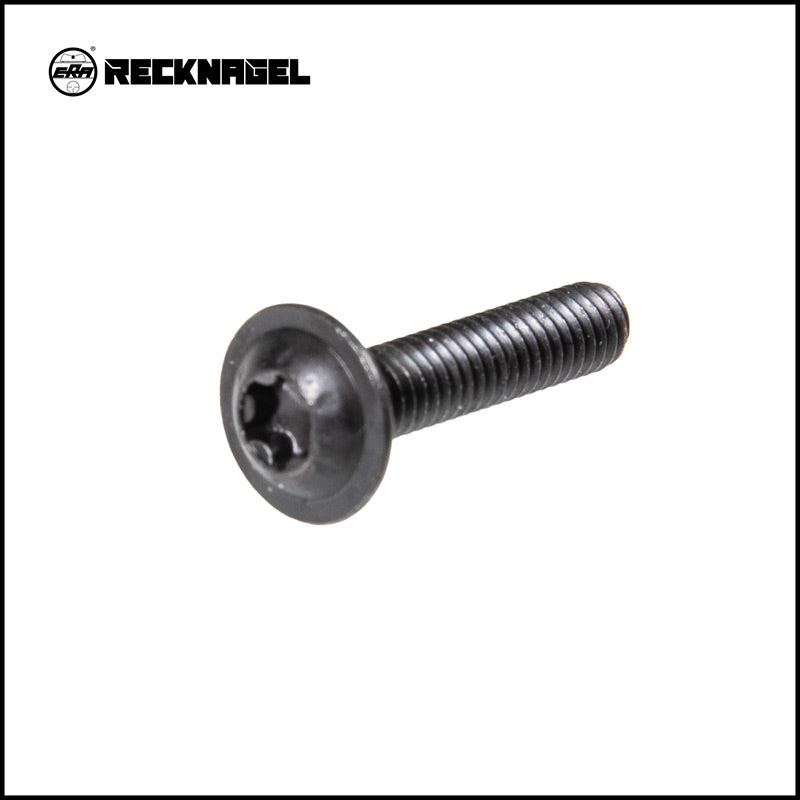 Recknagel Spare Screw M4 (TX20)